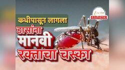 डासांना मानवी रक्ताचा चस्का कधीपासून लागला? फक्त एका म्यूटेशनमुळे निर्माण झाला जगातील सर्वात धोकादायक जीव!