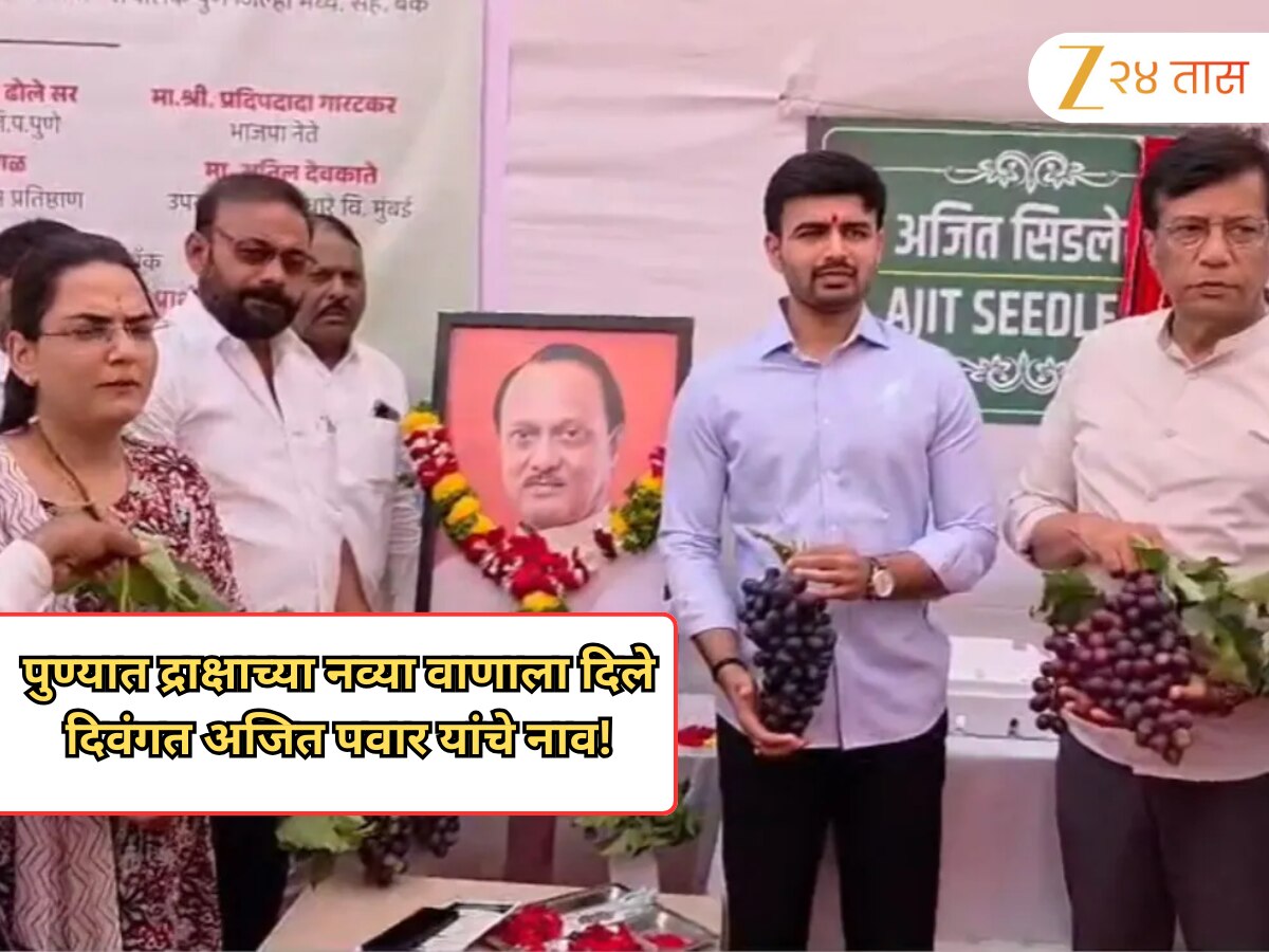 पुण्यात द्राक्षाच्या नव्या वाणाला दिले दिवंगत अजित पवार यांचे नाव!