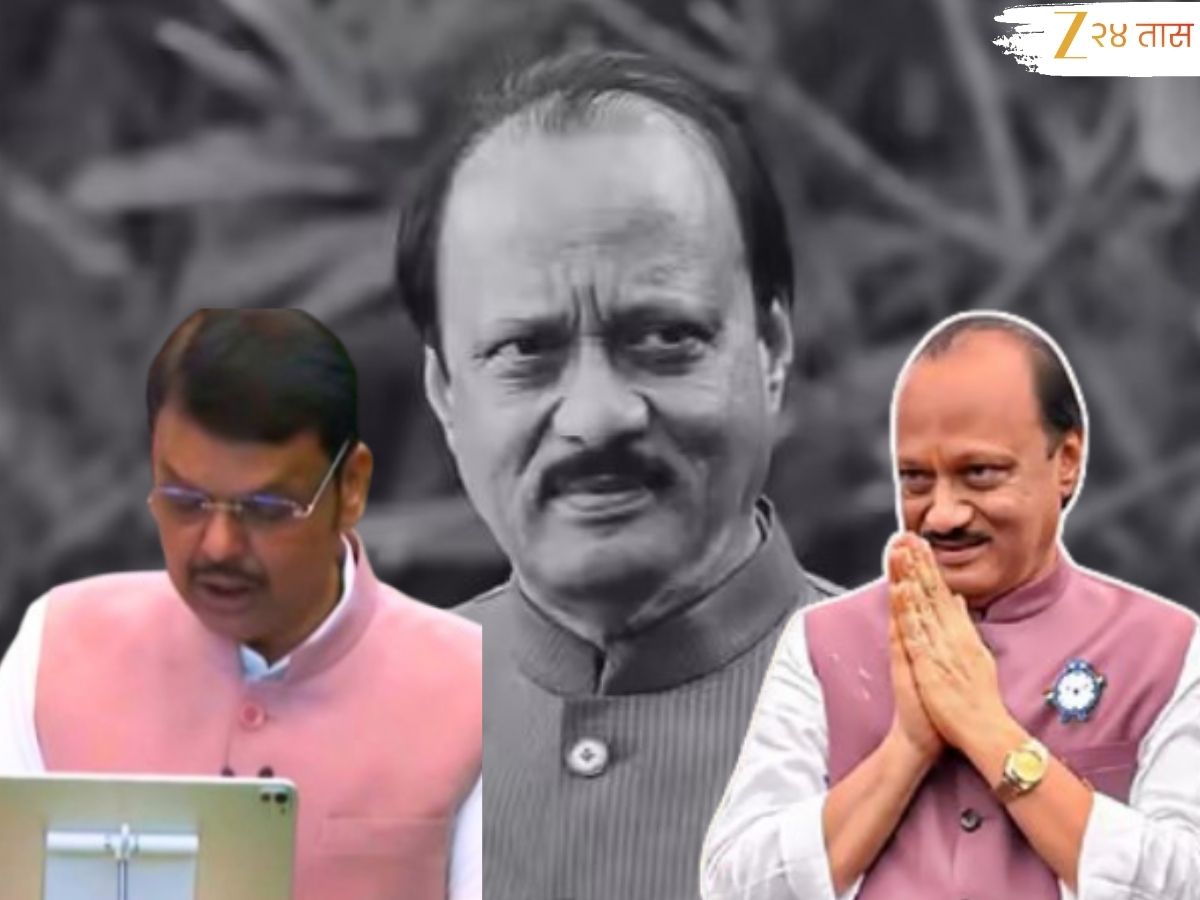 चष्मा अन् दादा घालायचे तसंच जॅकेट...; मुख्यमंत्र्यांनी अर्थसंकल्प सादर करताना अजित पवारांना वाहिली अनोखी आदरांजली