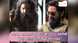 आठवड्याभरात 'धुरंधर 2'ची 1000 कोटींची झेप; Animal ला सुद्धा मागे पडलं