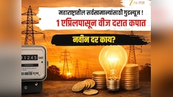 सर्वसामान्यांना वीज कंपन्यांचा मोठा दिलासा; ऐन उन्हाळ्यात वीज दरात कपातीचा निर्णय, प्रति युनिटमागे किती रुपये द्यावे लागणार?