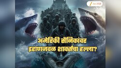'अमेरिकी सैनिक पर्शियन आखातातील शार्क्ससाठी उत्तम खाद्य'; इराणच्या इशाऱ्याचा अर्थ काय?