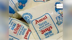 अमूल दूध पिणाऱ्यांनो लक्ष द्या! अमेरिकेत 1 लीटर दुधाचा दर काय? भारतात तर या पैशात अख्ख्या घराचं रेशन येईल