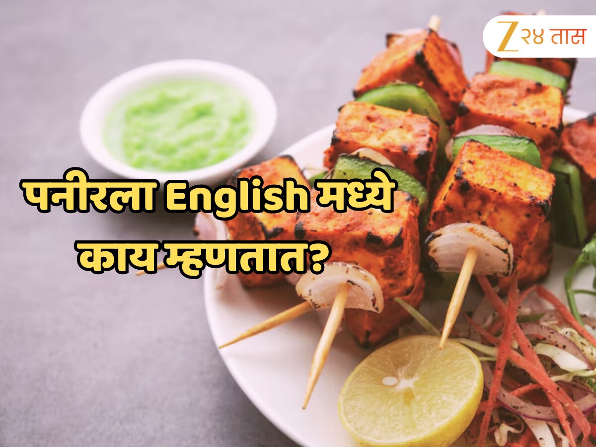 What Is Paneer Called In English GK News | पनीरला इंग्रजीत काय म्हणतात