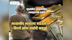 भावालाच गंडवलं! 1 किलो सोनं खरेदी केलं अन्...; ITR भरताना खुलासा, दादरमध्ये गुन्हा दाखल