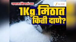 1 किलो मीठात किती दाणे असतात? 4 मित्रांची 9 दिवसांची मेहनत अन् जगाला पडलेल्या प्रश्नाचं मिळालं उत्तर!