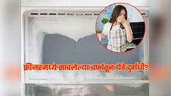 फ्रीजरमध्ये साचलेल्या बर्फातून येते दुर्गंधी? 'या' चुकीमुळे बिघडेल तुमच्या जेवणाची चव 