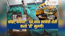 Viral: कोब्रा, वायपर... 60,000 सापांची शेती करते 'ही' मुलगी! कारण ऐकून व्हाल हैराण 