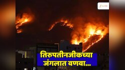 तिरुपती देवस्थाननजीक डोंगरांमध्ये भयंकर वणवा; दृश्य भीती वाढवणारी