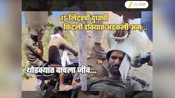 10 किलो वजनाची दुधाची किटली डोक्यात अडकली अन्... Video Viral; इंचभर चुकीने गेला असता जीव