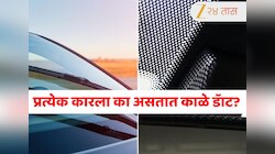 Unknown Fact : कारवर असलेले काळे ठिपके फक्त एक डिझाइन? तुम्हालाही नाही माहिती या मागचं कारण...