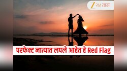परफेक्ट नात्यात देखील या रेड फ्लॅग्सचा धोका! तुम्हीसुद्धा दुर्लक्ष करत आहात का या कृत्यांवर?