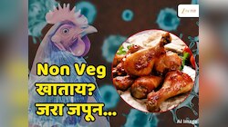 H5N1 संसर्गानं चिंता वाढली! मांसाहार करणाऱ्यांना प्रशासनाच्या स्पष्ट सूचना, व्यवस्थित वाचा 