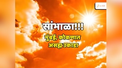 Maharashtra Weather Today: सकाळपासूनच भर दुपारइतक्या रणरणत्या उन्हाचा मारा; कोकण, मुंबईत असह्य उकाडा, उत्तर भारतात विपरित हवामान
