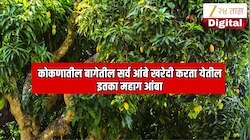 कोकणातील एका मोठ्या बागेतील सर्व आंबे विकत घेता येतील इतका महाग आंबा! भारतातील 5 सर्वात महागडे आंबे