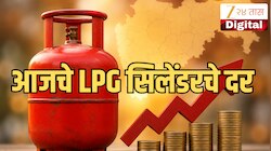 LPG Rate Today:  विकेंडला गॅस सिलेंडरची किंमत वाढली आहे का? जाणून घ्या आजचे एलपीजे सिलेंडरचे महाराष्ट्रातील आजचे दर 