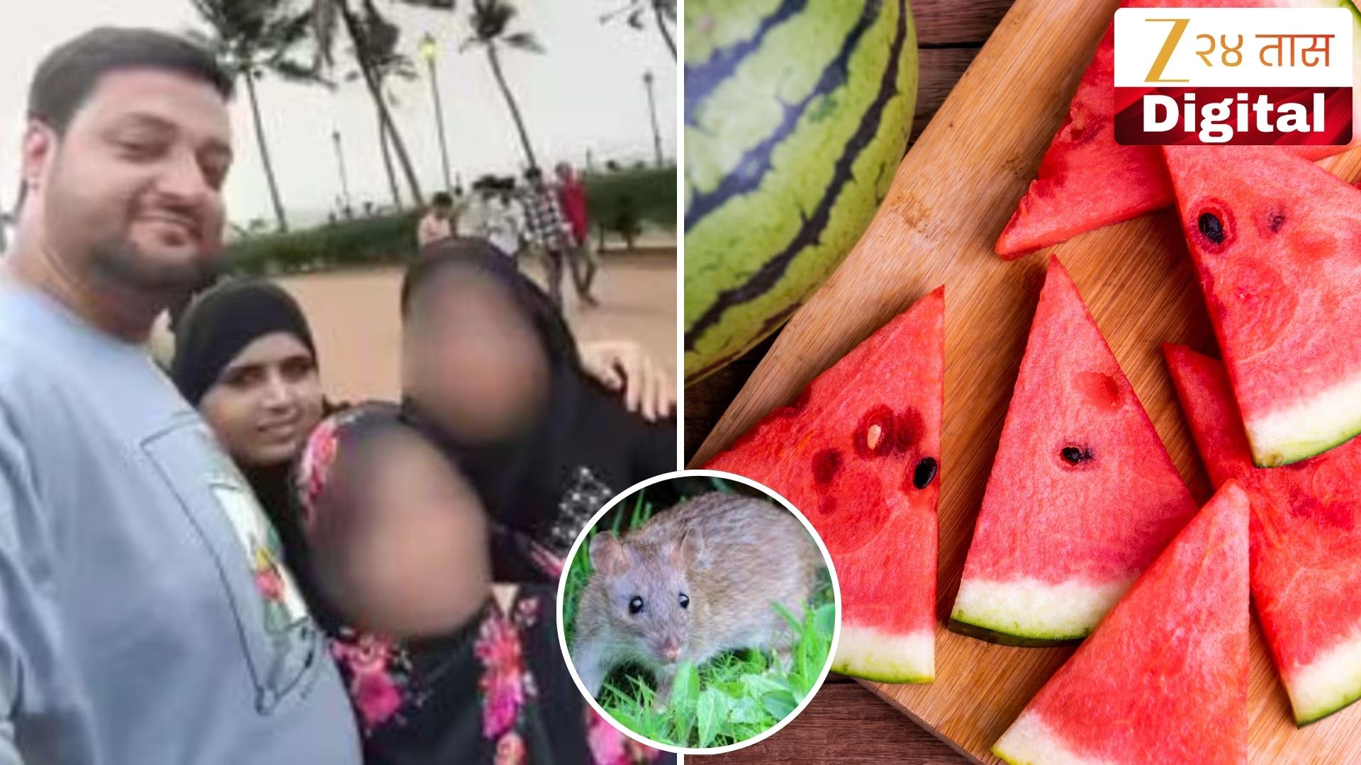 Watermelon Case : पायधुनी डोकाडिया कुटूंब मृत्यू प्रकरण, उंदीर मारण्याचं औषध कलिंगडात कसं गेलं? जवळच्या व्यक्तीकडे संशयाची सुई Watermelon Case : पायधुनी डोकाडिया कुटूंब मृत्यू प्रकरण, उंदीर मारण्याचं औषध कलिंगडात कसं गेलं? जवळच्या व्यक्तीकडे संशयाची सुई