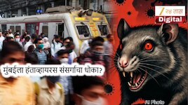 मुंबईलाही 40% डेथ रेट असणाऱ्या Hantavirus चा धोका? उंदरांच्या संख्येचं टेन्शन