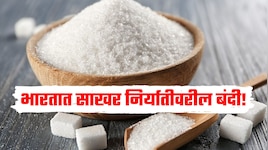 भारतात साखर निर्यातीवरील बंदी सप्टेंबरपर्यंत वाढवली,  नेमकं कारण काय? 