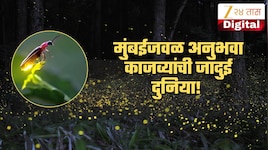 Fireflies Festivals in Mumbai: मुंबईजवळ अनुभवा काजव्यांची जादुई दुनिया!
