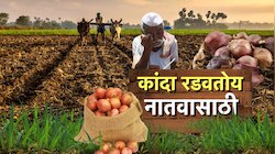 Farmers Outrage: कांदा खरेदीच्या निर्णयावर शेतकऱ्यांचा रोष, संतापाचं नेमकं कारण काय?