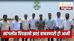एका पिंपळाच्या झाडाच्या पुनर्वसनाच्या प्रेरणेतून सांगलीत उभी राहिली ट्री आर्मी