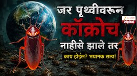 Explainer: जर पृथ्वीवरून कॉक्रोच नाहीशी झाली तर काय होईल?  भयानक सत्य