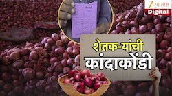कांद्याचे दर कोसळले, शेतकऱ्याच्या डोळ्यांत पाणी