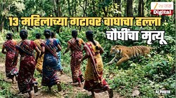 महाराष्ट्र हादरला! महिलांच्या ग्रुपवर वाघाचा हल्ला; जिवाच्या आकांताने पळल्या; चौघींचा मृत्यू, 9 जणी वाचल्या