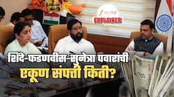 शिंदे, फडणवीस, सुनेत्रा पवारांची संपत्ती जप्त करण्याची मागणी; पण या तिघांची एकूण संपत्ती किती?