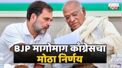 काँग्रेसकडून राज्यसभा उमेदवारांची यादी जाहीर; एका नेत्याला तपश्चर्येचं फळ, तर दुसऱ्यांच्या पाठीशी दशकांचा अनुभव, पाहा नावं...