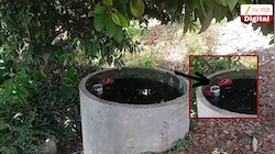 मामाच्या बागेतले आंबे खायला गेला अन्... विचित्र दुर्घटनेत 3 वर्षाच्या चिमुकल्याने गमावला प्राण; वाचून मन हळहळेल