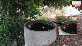 मामाच्या बागेतले आंबे खायला गेला अन्... विचित्र दुर्घटनेत 3 वर्षाच्या चिमुकल्याने गम