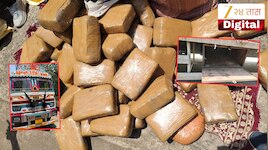 नागपुरात DRI ची मोठी कारवाई! 2 कोटी 61 लाखांचा 522 किलो गांजा जप्त