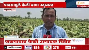 VIDEO : जळगावमध्ये केळी उत्पादकाचे मुसळधार पावसामुळे नुकसान