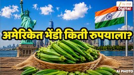 भारताची भेंडी अमेरिकेत कितीला विकली जाते? व्हायरल व्हिडीओमधील किंमत ऐकून नेटकरी थक्क