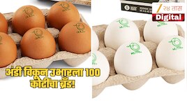 Success Story: अंडी विकून उभारला 100 कोटींचा ब्रँड! आजोबांच्या एका विचारातून सुरु झा