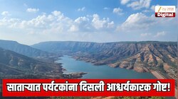  महाराष्ट्रातील लोकप्रिय पर्यटनस्थळावर फिरायला आलेल्या पर्यटकांना दिसली आश्चर्यकारक गोष्ट! आनंद गगनात मावेना