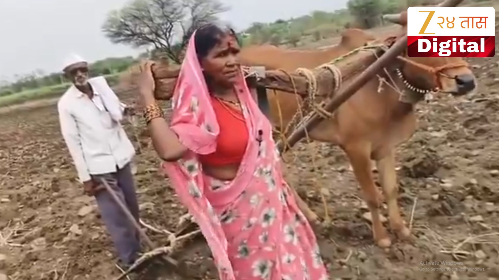 शेतकऱ्याने बैलासह पत्नीलाच नांगराला जुंपलं; कारण विचारल्यावर समोर आलं विदारक सत्य, जगाच्या पोशिंद्याचा न संपणारा संघर्ष!