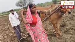 शेतकऱ्याने बैलासह पत्नीलाच नांगराला जुंपलं; कारण विचारल्यावर समोर आलं विदारक सत्य, जगाच्या पोशिंद्याचा न संपणारा संघर्ष! 