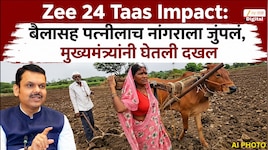 Zee 24 Taas Impact: बैलासह पत्नीलाच नांगराला जुंपलं, मुख्यमंत्री फडणवीसांकडून दखल