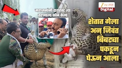 बिबट्याशी भिडला, फॉरेस्ट अधिकारी येईपर्यंत जिवंत पकडून ठेवला अन्... जळगावमध्ये खरंखुरं Man vs Wild; हा तरुण आहे कोण?