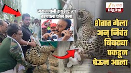 फॉरेस्ट अधिकारी येईपर्यंत बिबट्याला जिवंत पकडून ठेवलं अन्... जळगावमध्ये Man vs Wild