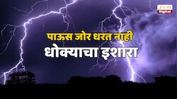 विजांचा कडकडाट सुरू असताना...; पाऊस जोर धरत नाही तोच आला धोक्याचा इशारा