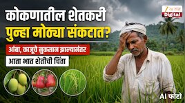 कोकणातील शेतकरी पुन्हा मोठ्या संकटात? वर्षभर खायचे काय? 