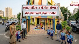शहरातील नर्सरीज येणार कायद्याच्या कचाट्यात, भरमसाठ फीवर बसणार चाप 