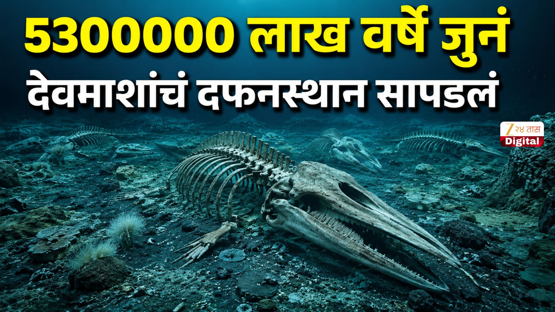 Whale graveyard discovered on the Indian Ocean floor 5 million year old ...