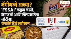 मॅगीमध्ये अळ्या? 'FSSAI' कडून नेस्ले, केएफसी आणि फ्लिपकार्टला नोटीस! कंपनीने दिलं स्पष्टीकरण...