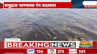 Video | रत्नागिरीच्या समुद्रातील पाण्याचा रंग बदलला