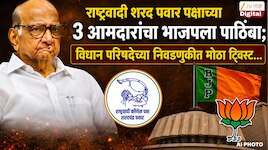 राष्ट्रवादी शरद पवार पक्षाच्या 3 आमदारांचा भाजपला पाठिंबा; विधान परिषदेच्या निवडणुकी